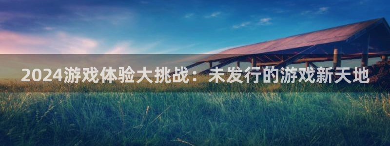 广州bg大游运动服：2024游戏体验大挑战：未发行的游戏新天地