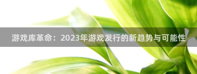bg大游电商怎么样知乎：游戏库革命：2023年游戏发行的新趋势与可能性
