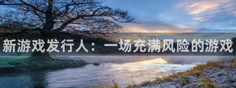 bg大游官网客服电话号码：新游戏发行人：一场充满风险的游戏