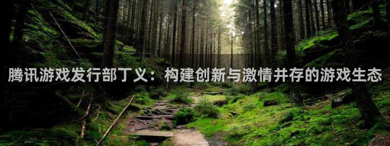 bg大游官网注册平台：腾讯游戏发行部丁义：构建创新与激情并存的游戏生态