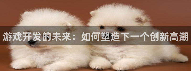 bg大游官网客服服务电话：游戏开发的未来：如何塑造下一个创新高潮
