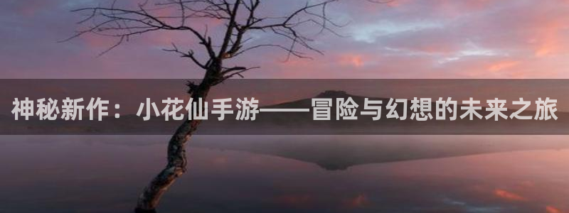 bg大游品牌服装