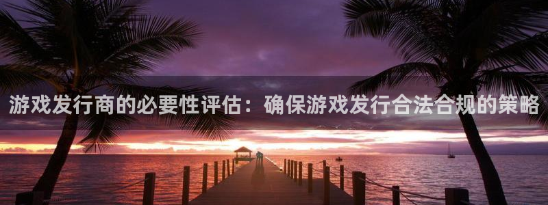 bg大游子经理人读后感：游戏发行商的必要性评估：确保游戏发行合法合规的策略
