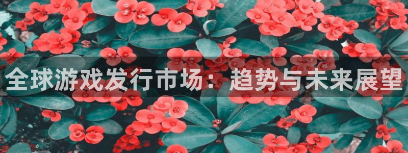 bg大游官网注册地址查询官网：全球游戏发行市场：趋势与未来展望