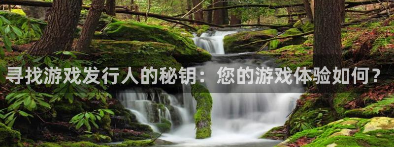 bg大游子股价：寻找游戏发行人的秘钥：您的游戏体验如何？