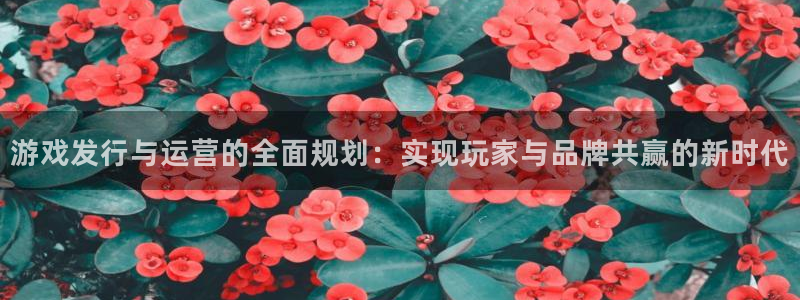 bg大游涂料(北京)有限公司：游戏发行与运营的全面规划：实现玩家与品牌共赢的新时代