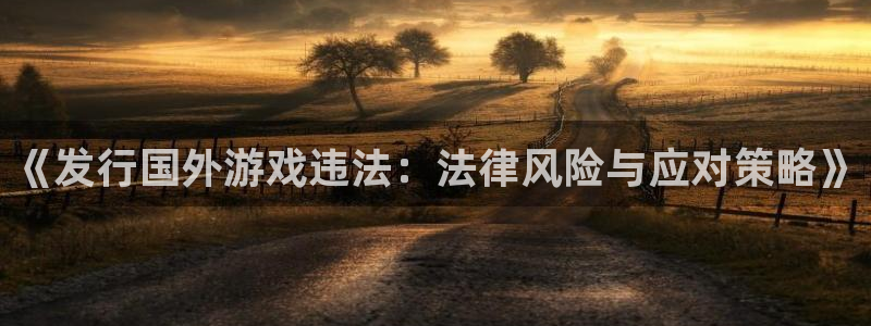 bg大游官网平台代理条件怎么样：《发行国外游戏违法：法律风险与应对策略》