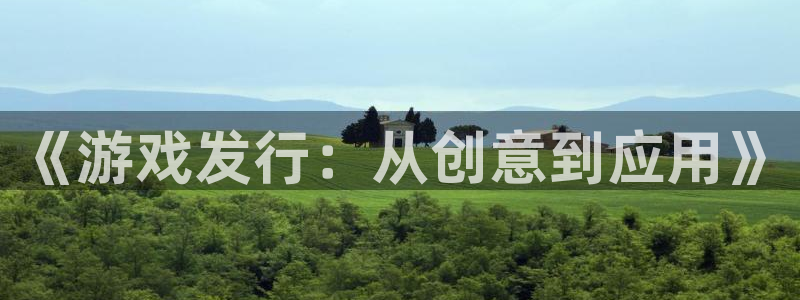 bg大游运动装有哪些品牌：《游戏发行：从创意到应用》