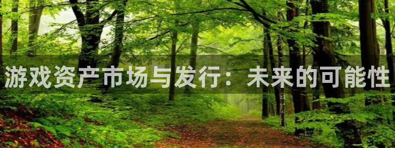 bg大游品牌设计：游戏资产市场与发行：未来的可能性