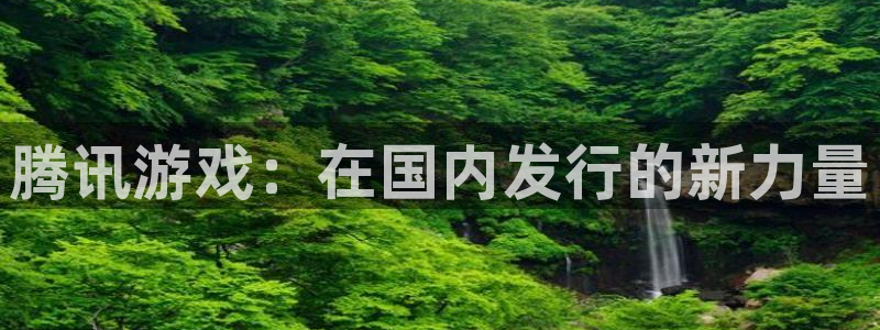 bg大游官网登录注册账号安全吗是真的吗：腾讯游戏：在国内发行的新力量
