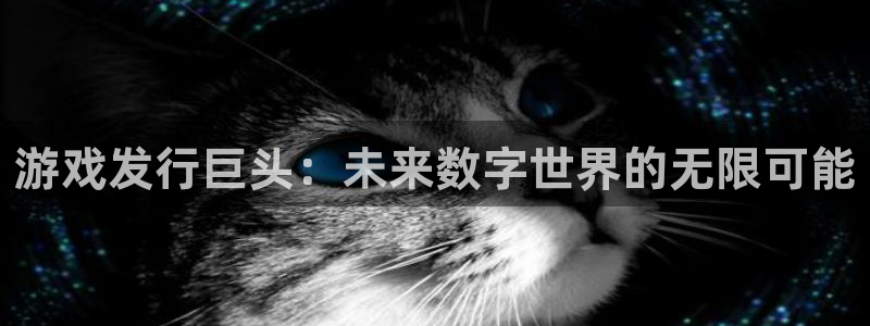 bg大游官网官网注册账号：游戏发行巨头：未来数字世界的无限可能
