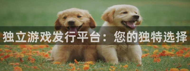 bg大游官网解绑银行卡怎么解绑：独立游戏发行平台：您的独特选择