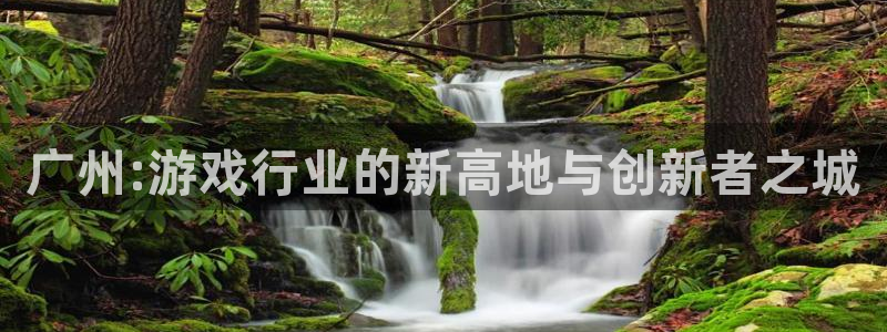 bg大游官网客服电话号码：广州:游戏行业的新高地与创新者之城